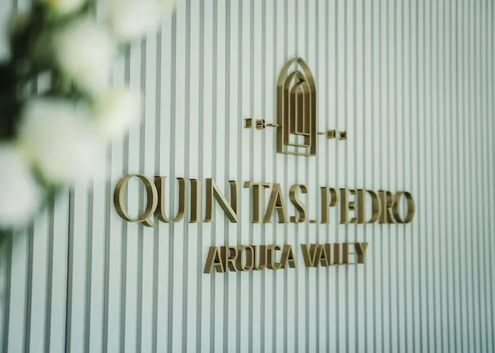 Quinta S Pedro - Valley 팜스테이 아로카